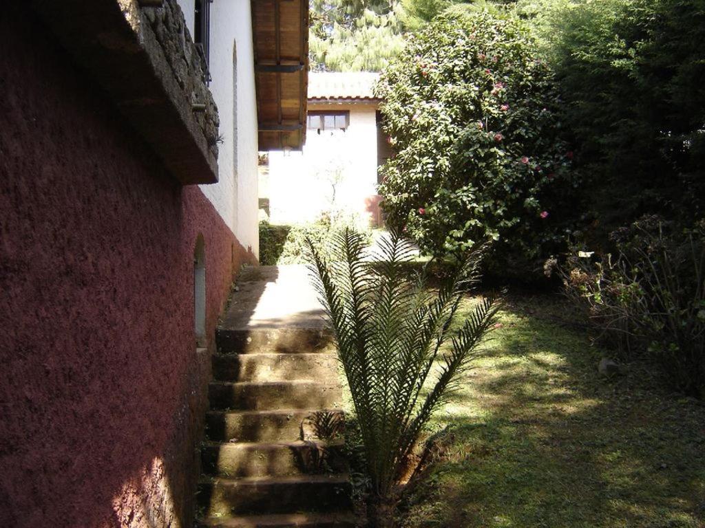Casa Das Dalias Monte Verde  Εξωτερικό φωτογραφία